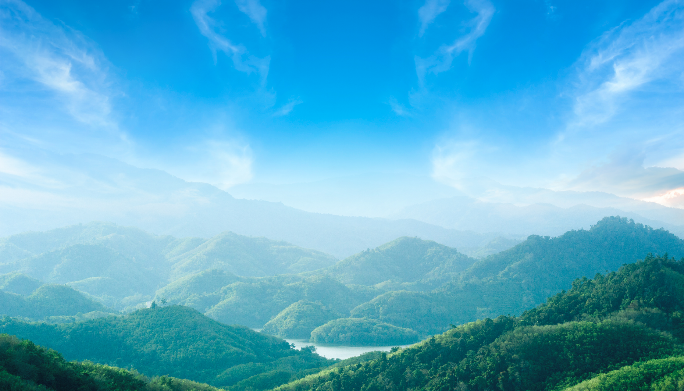 環境への取り組み